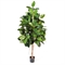 Ficus Elastica grün - Gummibaum Kunstpflanze, 180 cm - Foto 80523