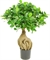 Ficus Panda Bonsai - Chinesischer Feigenbaum Kunstpflanze, 45 cm - Foto 80525