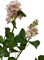 Flieder - Syringa vulgaris Kunstpflanze Höhe 79 cm - Foto 80534