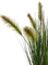 Fuchsschwanzgras - Alopecurus Kunstpflanze, Höhe 60 cm, getopft - Foto 80540