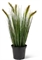 Fuchsschwanzgras - Alopecurus Kunstpflanze, Höhe 60 cm, getopft - Foto 80541