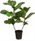 Geigenfeige Ficus Lyrata, Kunstpflanze 107 cm - Foto 80547
