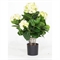 Hortensie - Hydrangea Kunstpflanze, 53 cm, creme - Foto 80567