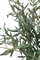 Olivenbaum - Olea europaea Kunstpflanze 150 cm - Foto 80586