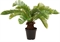 Palmfarn Cycas Kunstpflanze 59 cm - Foto 80593