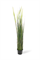 Rohrkolben - Typhaceae Kunstpflanze, Höhe 152 cm, getopft - Foto 80602