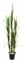 Zuckerrohr - Saccharum officinarum Kunstpflanze, 180 cm - Foto 80615