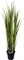 Zuckerrohr - Saccharum officinarum Kunstpflanze, Höhe 122 cm - Foto 80616
