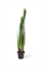 Zwiebelgras Kunstpflanze, dicht gewachsen, 122 cm, grün - Foto 80624