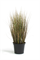 Zwiebelgras Kunstpflanze, dicht gewachsen, 60 cm, rot/grün - Foto 80634