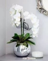 Orchideen-Pflanzgef&#228;&#223;