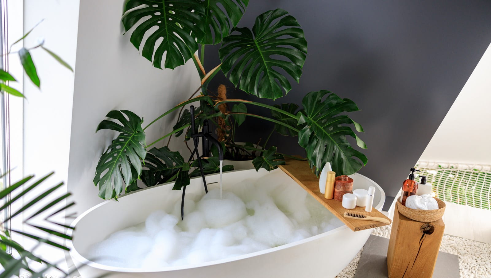 Monstera-Pflanze im Badezimmer